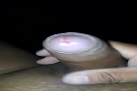 Xxxاحمار