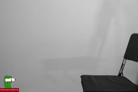 صور سكس اكس موفيز فروج مشعره افارق